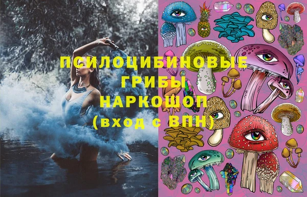 дурь Козловка
