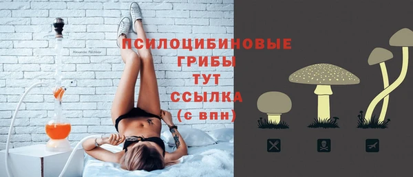 дурь Козловка