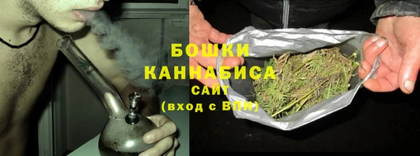 дурь Козловка