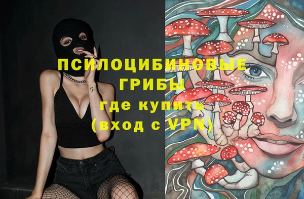 дурь Козловка